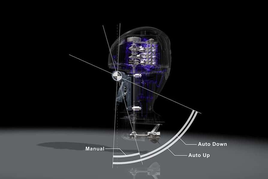 2025 Yamaha F250 Grey