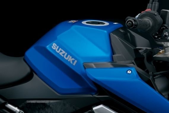 2022 Suzuki GSX S1000 Silver