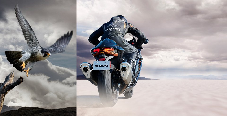 Suzuki Hayabusa 2025