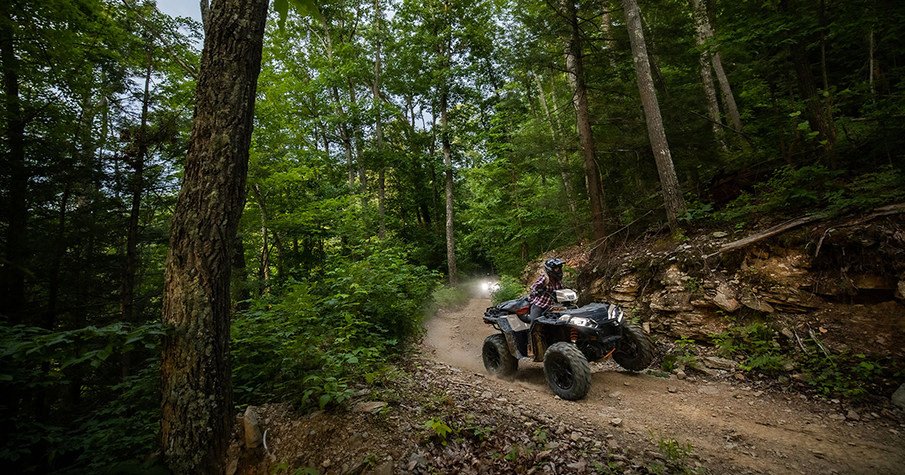 RZR Trail in the woods