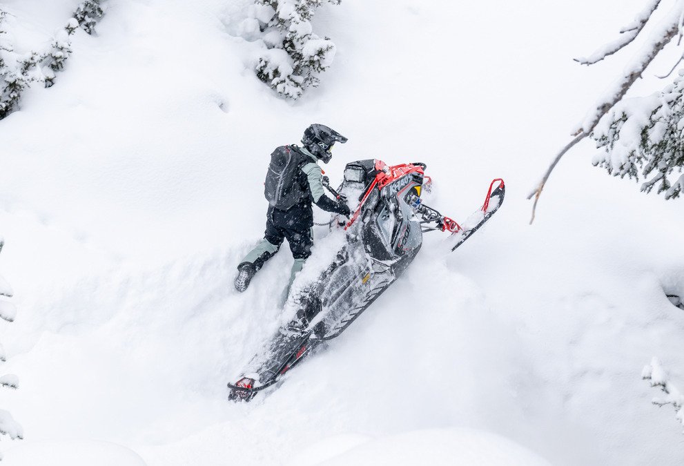 RZR Trail in the woods