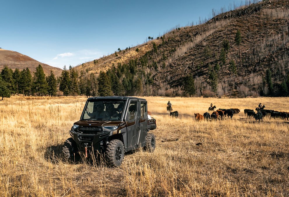 2025 Polaris RANGER CREW XP 1000 TEXAS EDITION BRONZE PEARL METALLIC