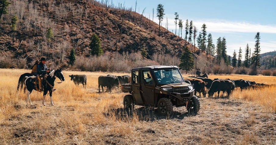 2025 Polaris RANGER CREW XP 1000 TEXAS EDITION BRONZE PEARL METALLIC