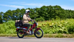 2024 Honda Trail 125 Standard