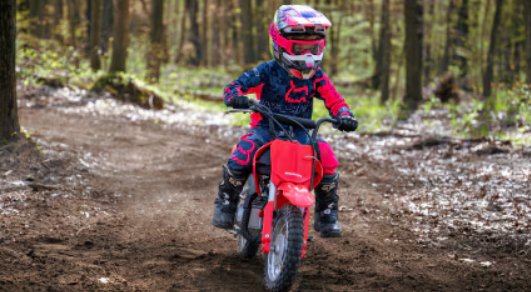 2025 Honda CRF50F Standard