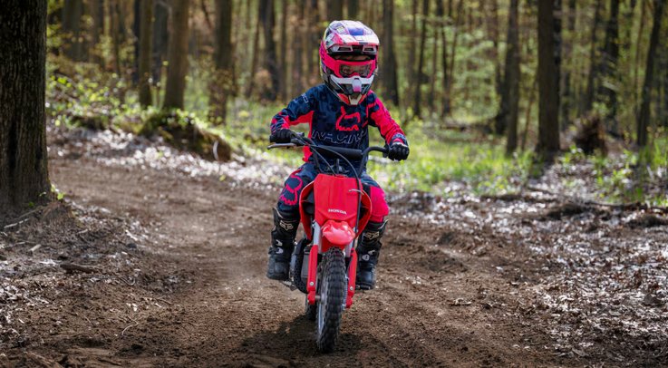 2025 Honda CRF50F Standard