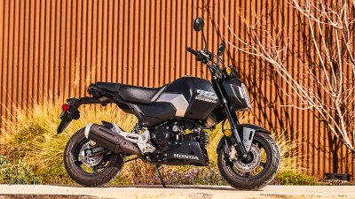 2025 Honda GromTM ABS