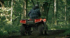 2025 Honda Rubicon 700 Automatic