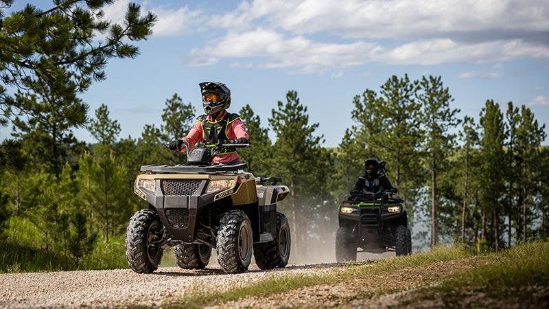 2023 Arctic Cat Alterra 300