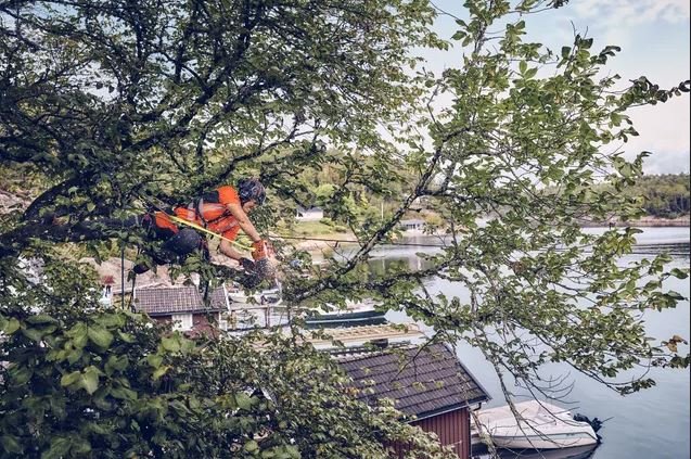 HUSQVARNA T540 XP® Mark III 12 SP21G SN .325mini (US/CA) SKU: 970 51 00 12