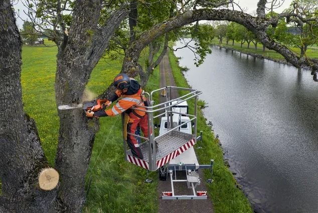 HUSQVARNA 540 XP® Mark III 16