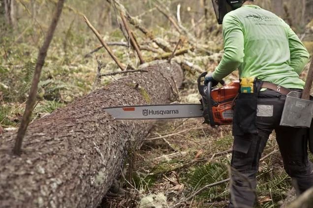 https://www-static-nw.husqvarna.com/-/images/aprimo/husqvarna/chainsaws/photos/action/vv-962869.webp?v=a84ae9a99be311b8&format=WEBP_LANDSCAPE_COVER_LG