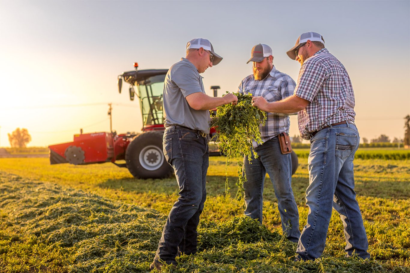 Massey Ferguson MF Self Propelled Windrower