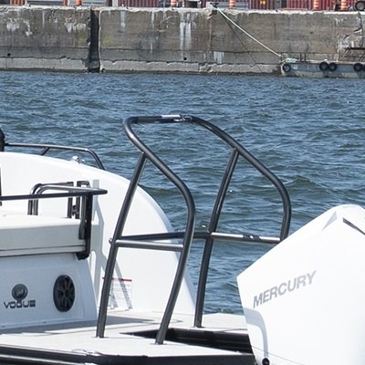 2025 Princecraft Vogue 23 RL Black metallic Without edition