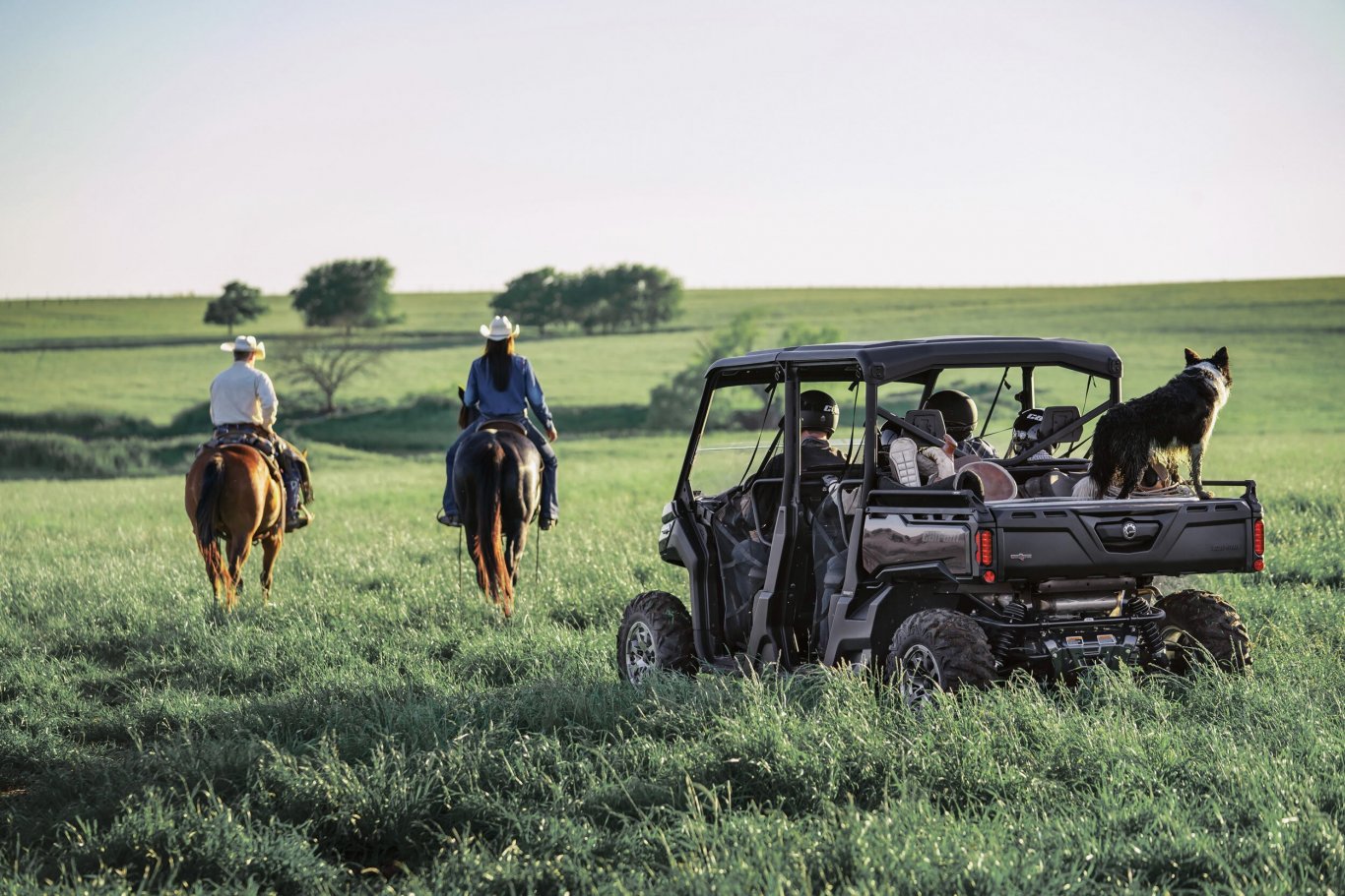 Can Am Defender 6x6 DPS HD10
