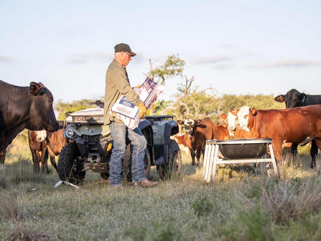 Can Am Outlander DPS 570