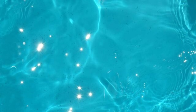 SnowEx® S220A (Auger) Renegade™