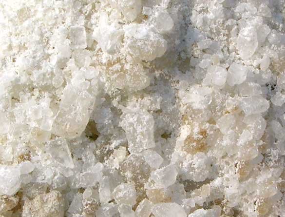 SnowEx® SD 1400 Drop Pro™