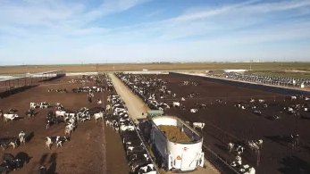 Kuhn VXL 1140 TRAILER (FRONT|SIDE)