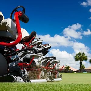 Toro Greensmaster® eTriFlex™ 3370