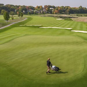 Toro Greensmaster® eFlex 1021