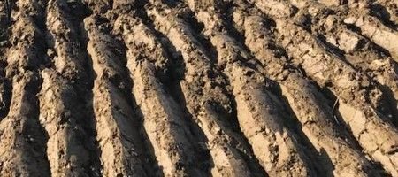 Grégoire Besson Voyager C80