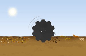 Grégoire Besson Normandie T70