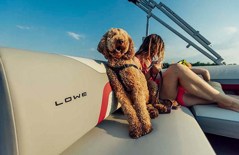 Lowe Boats SS 250CL Charcoal Metallic