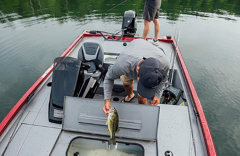 2026 Lowe Boats Stinger 175C Metallic Silver