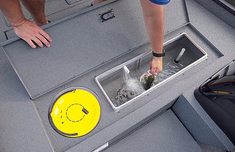 2026 Lowe Boats Skorpion 16 Unpainted Hull Gray Carpeted Interior