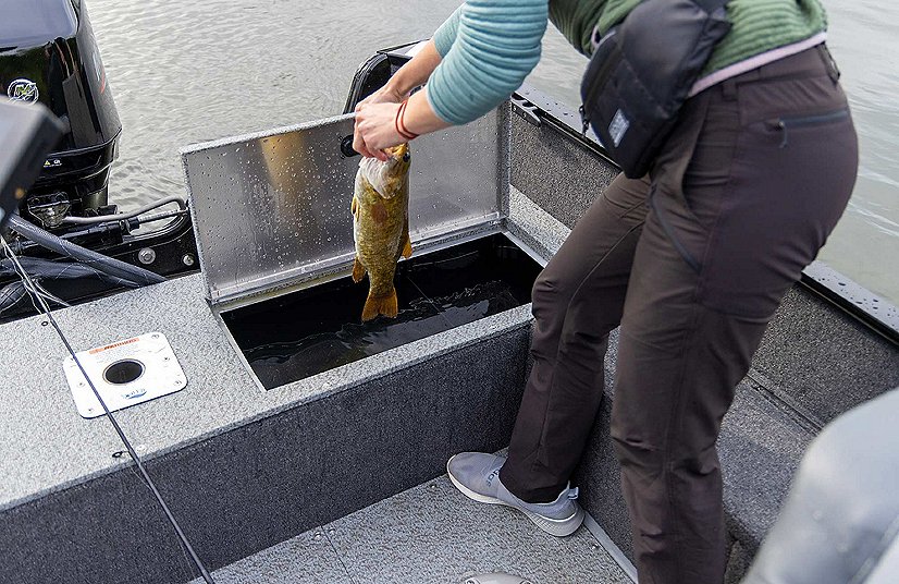 2026 Lowe Boats FM 1775 SC Metallic Black