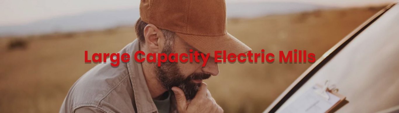 Automatic Electric Big Capacity Mills