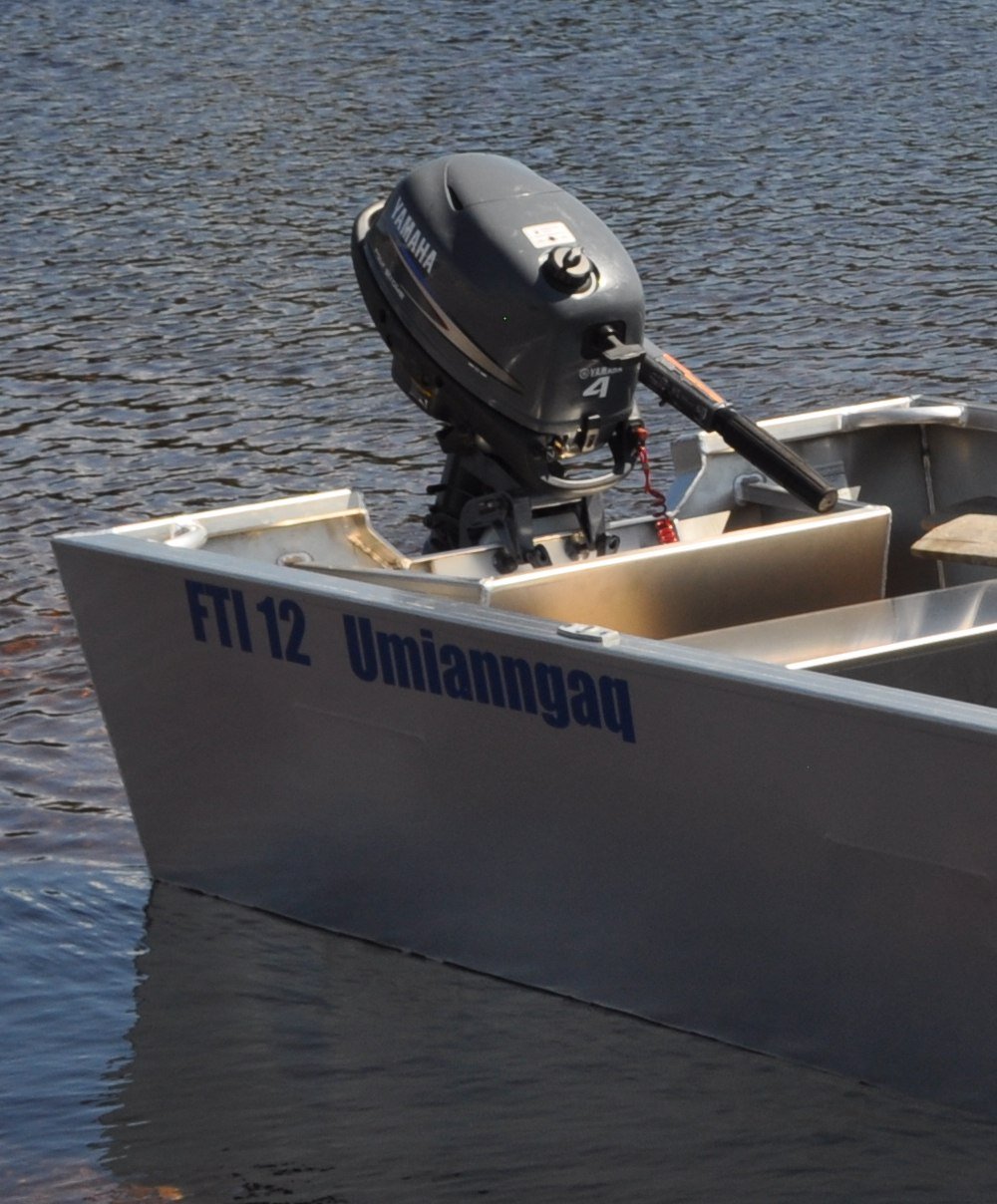 Fab Tech Silver Dolphin 12 Open