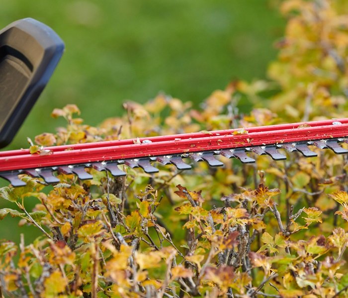Toro 60V MAX* Electric Battery 24 (60.96 cm) Hedge Trimmer (51840)