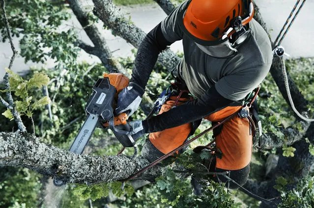 https://www-static-nw.husqvarna.com/-/images/aprimo/husqvarna/chainsaws/photos/action/h150-0070.webp?v=a247b76a9be311b7&format=WEBP_LANDSCAPE_COVER_LG