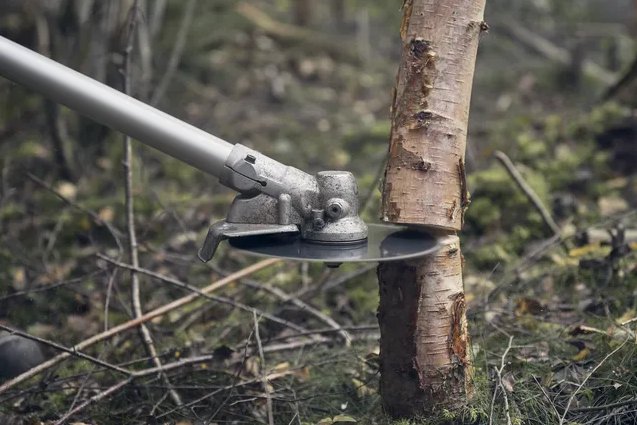 https://www-static-nw.husqvarna.com/-/images/aprimo/husqvarna/forestry-clearing-saws/photos/feature/h220-0346.webp?v=78638d599be311b7&format=WEBP_LANDSCAPE_COVER_LG