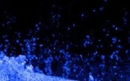 Garmin ECHOMAP™ Plus 44cv