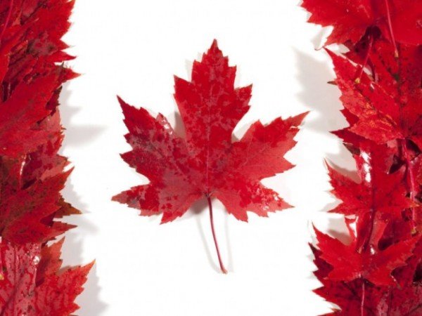 Naylor Docks The Superior Dock