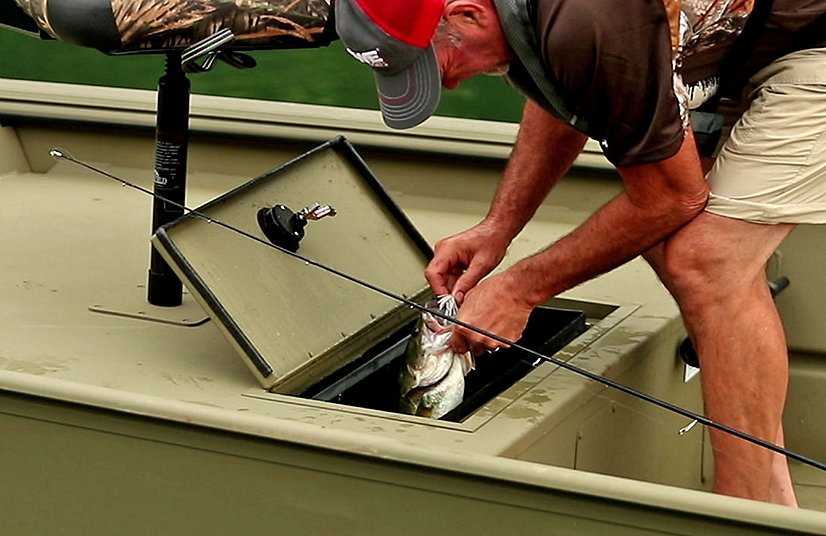Lowe Boats ROUGHNECK 1860 RAMBLER Dead Grass Green