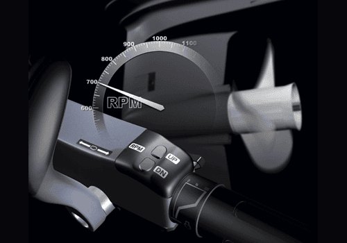 2025 Yamaha F50C Matte Brown