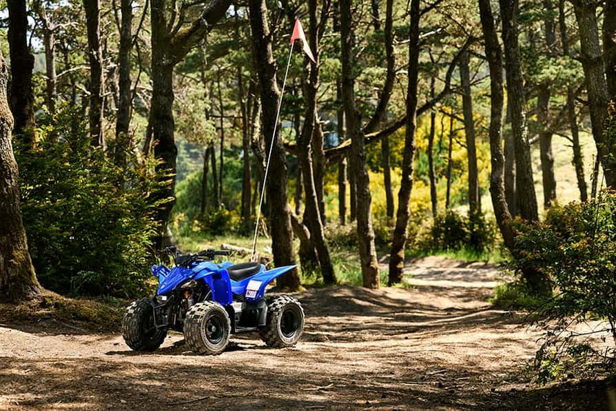 2026 Yamaha YFZ50 Team Yamaha Blue