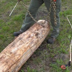 Wallenstein FX85S Synthetic Rope