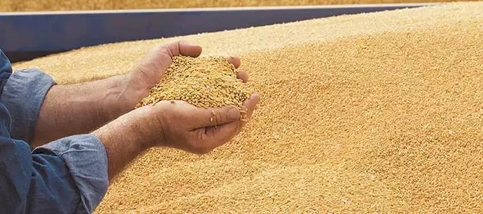 New Holland CR Series Twin Rotor® Combines CR9.90 Aggressive Shake