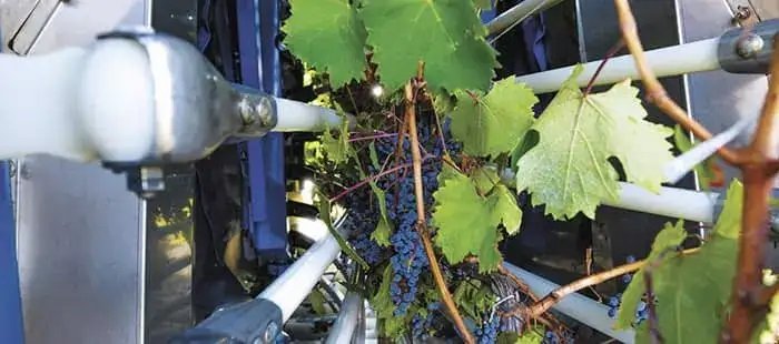 New Holland Braud High Capacity Grape Harvesters Braud 9070M