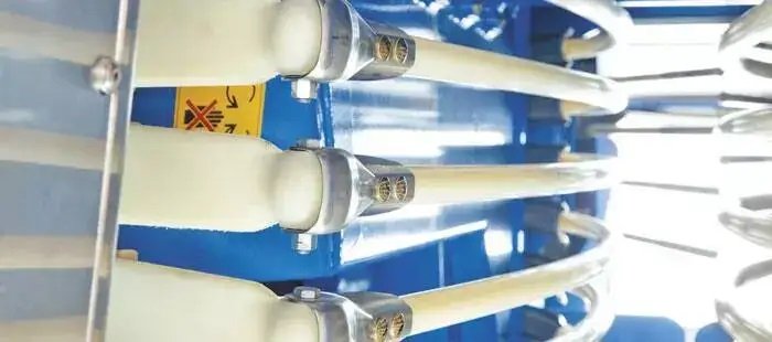 New Holland Braud 9090X Olive Harvester Braud 9090X Olive Side Conveyor