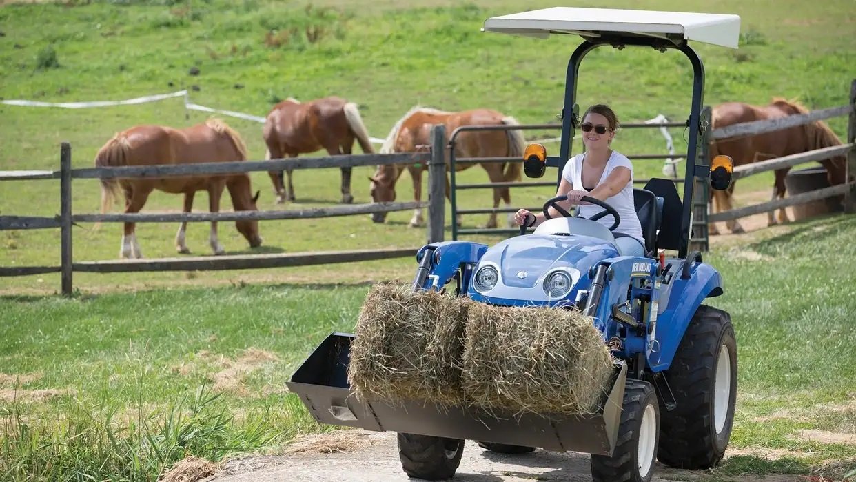 New Holland Deluxe Compact Loaders 250TLA IV