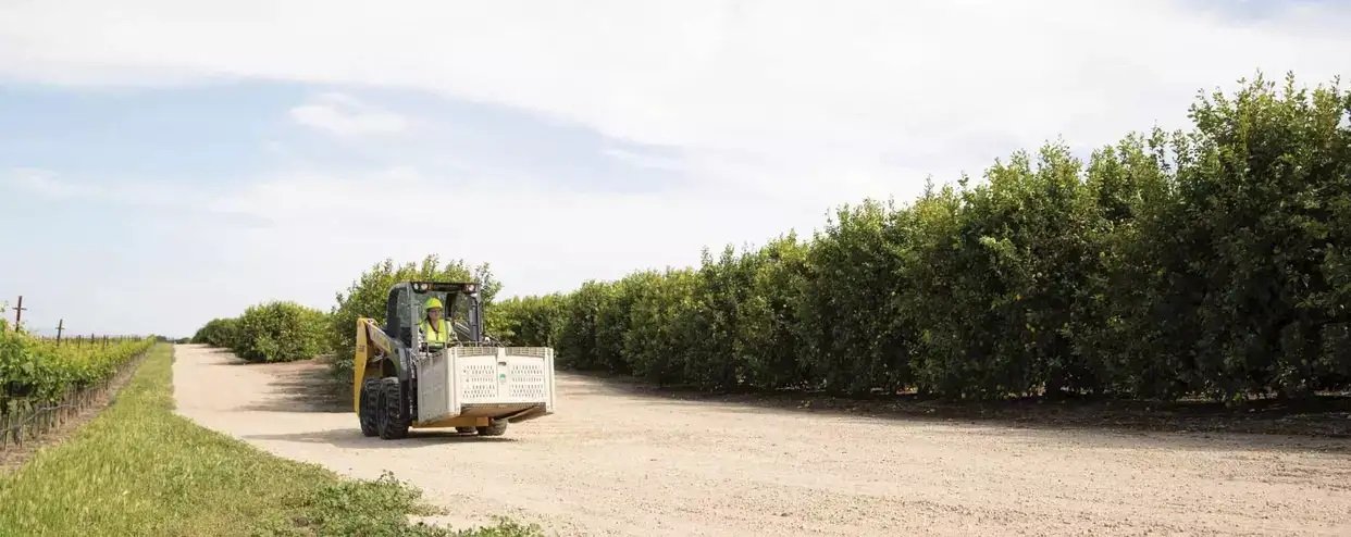 New Holland Skid Steer Loaders L316