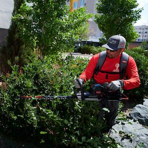 Toro 60V MAX* Revolution® 26 in. (66 cm) Brushless Hedge Trimmer Battery Not Included