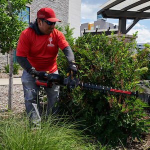Toro 60V MAX* Revolution® 26 in. (66 cm) Brushless Hedge Trimmer Battery Not Included