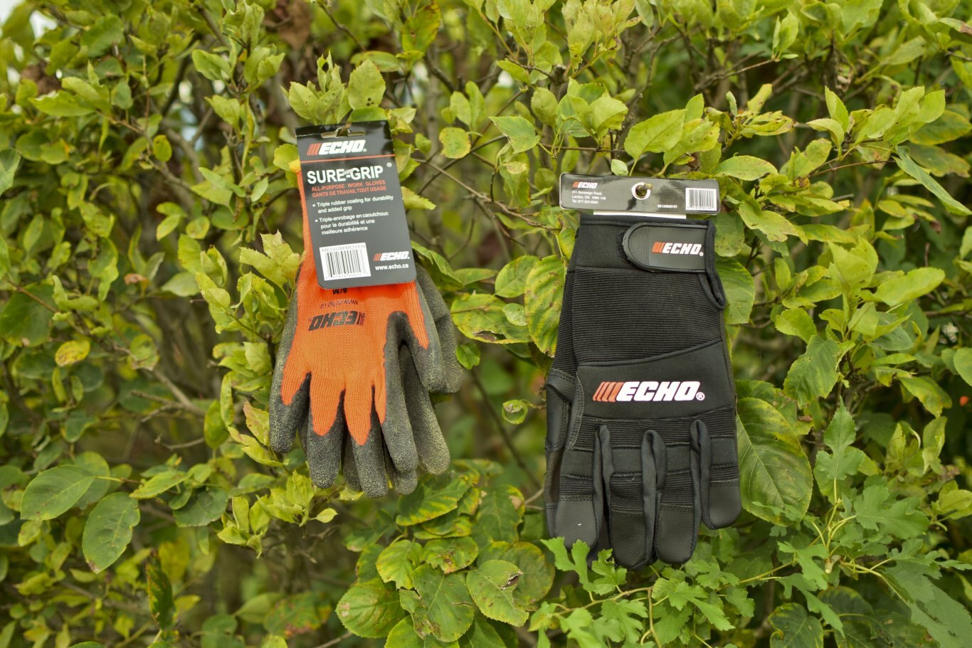 Echo Gloves | 2 Types